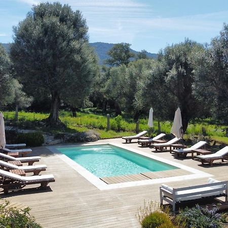 Domaine De Tappa - Casa Filicina Villa Sollacaro Dış mekan fotoğraf