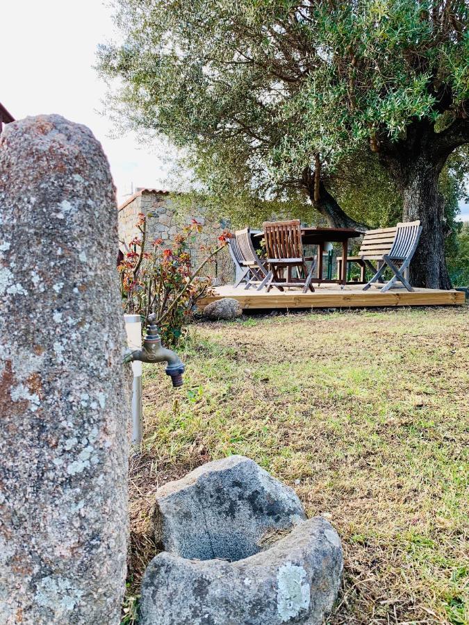Domaine De Tappa - Casa Filicina Villa Sollacaro Dış mekan fotoğraf