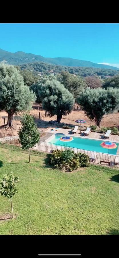 Domaine De Tappa - Casa Filicina Villa Sollacaro Dış mekan fotoğraf