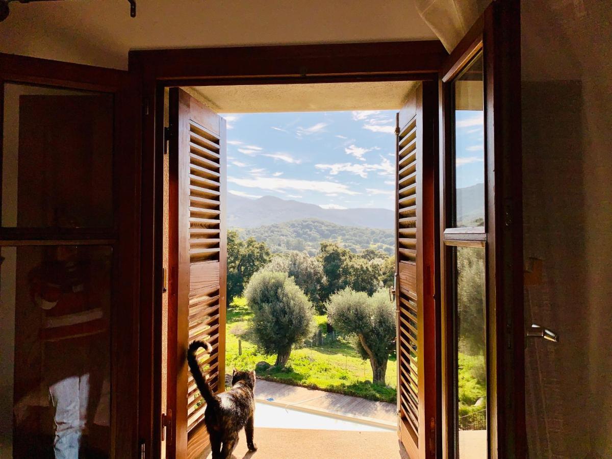 Domaine De Tappa - Casa Filicina Villa Sollacaro Dış mekan fotoğraf