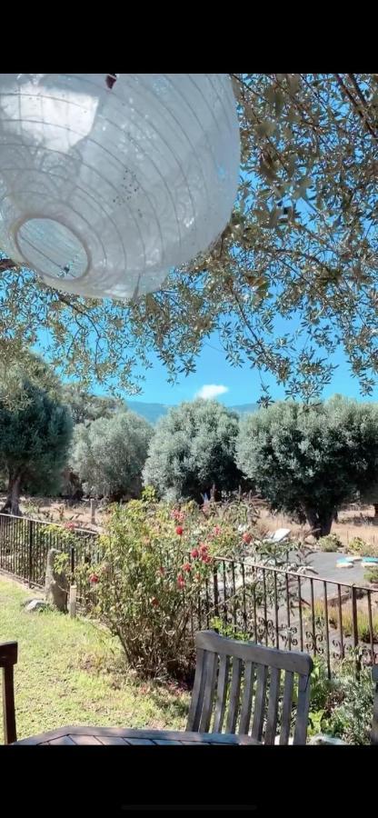 Domaine De Tappa - Casa Filicina Villa Sollacaro Dış mekan fotoğraf