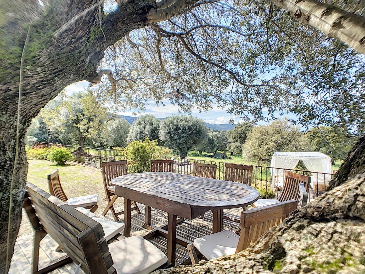 Domaine De Tappa - Casa Filicina Villa Sollacaro Dış mekan fotoğraf