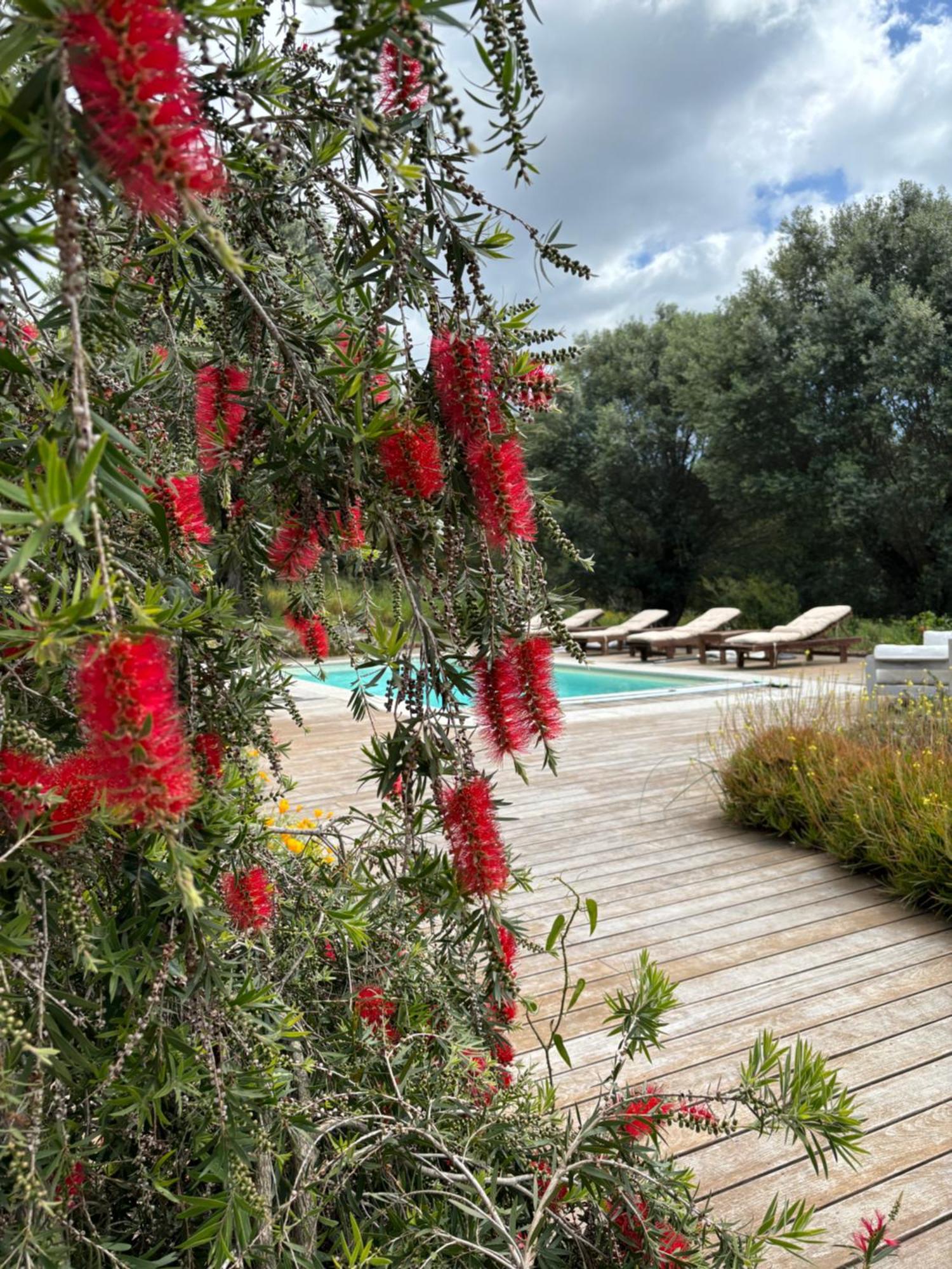 Domaine De Tappa - Casa Filicina Villa Sollacaro Dış mekan fotoğraf