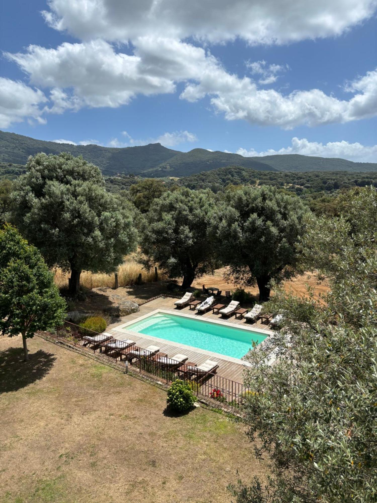 Domaine De Tappa - Casa Filicina Villa Sollacaro Dış mekan fotoğraf