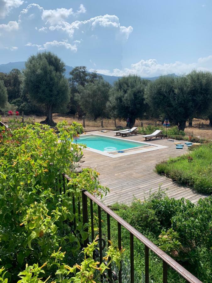 Domaine De Tappa - Casa Filicina Villa Sollacaro Dış mekan fotoğraf
